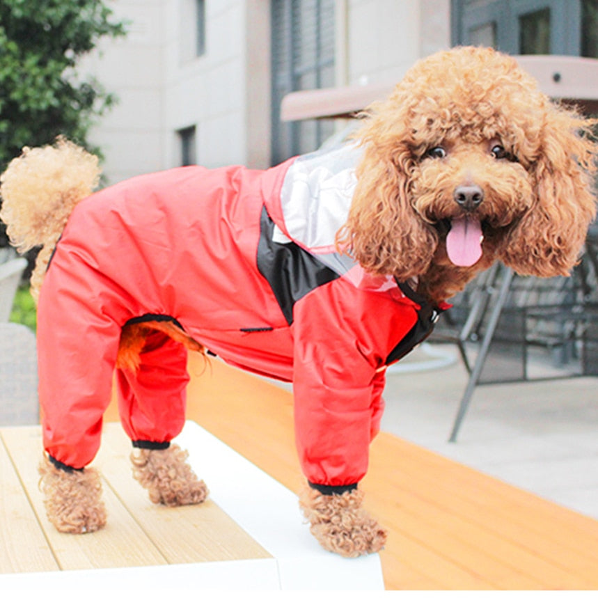 Dog’s raincoat