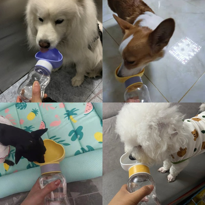 Portable Dog Water Bottle Feeder