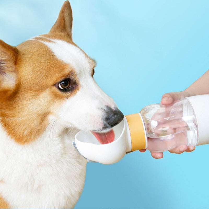 Portable Dog Water Bottle Feeder