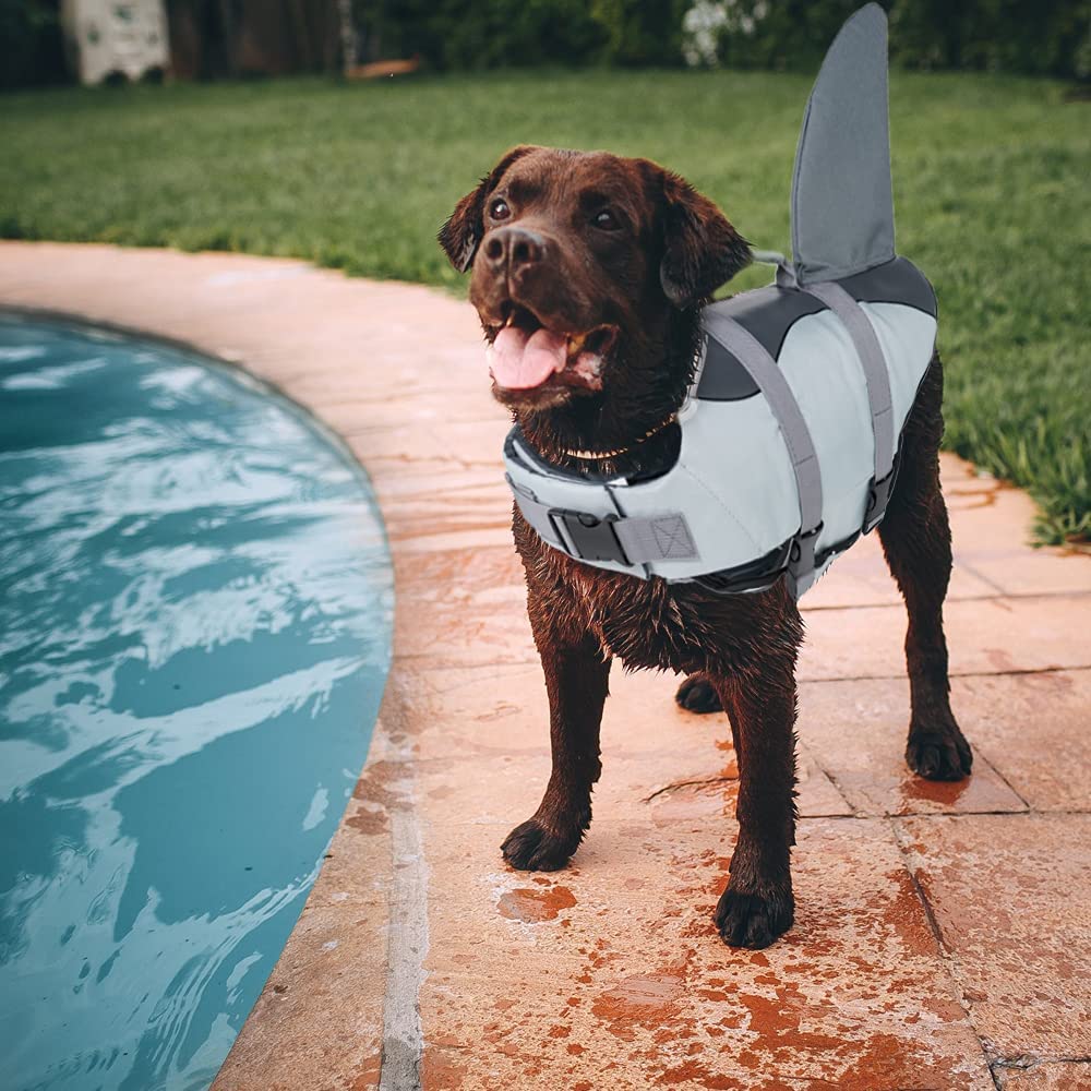 Dog Life Jackets